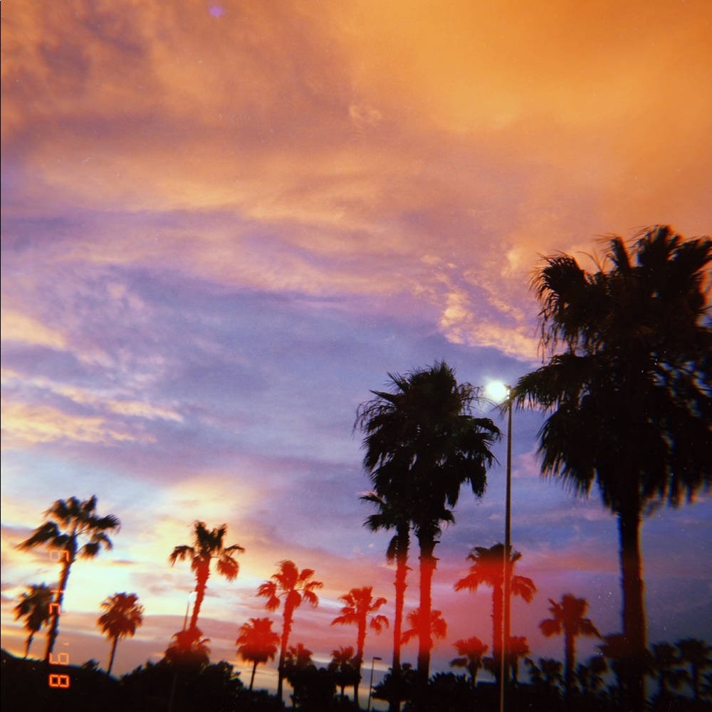 Meet your Posher, Shannon